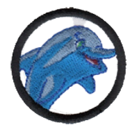 Dolphin image