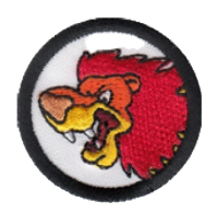 Lion image