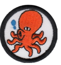 Octopus image