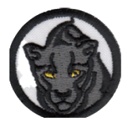 Panther image