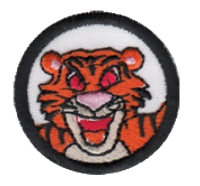 Tiger image