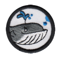 Whale image