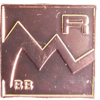 RISC RECREATION BRONZE Badge Metal image