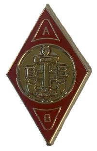 Anchor Service Badge Metal image